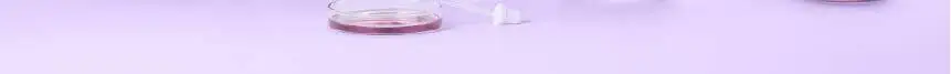 [미소케어] 리스테린액 토탈케어 헬씨브라이트 250ml 상세페이지 14
